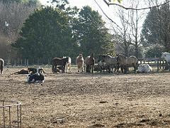 090809_San_Ceferino 043